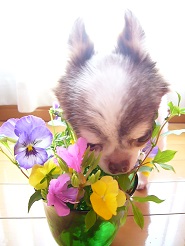 2013042507.jpg