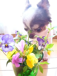 2013042509.jpg