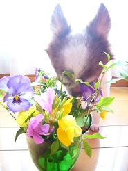 2013042510.jpg