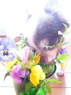 2013042511.jpg