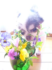2013042512.jpg