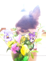 2013042513.jpg