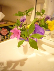 2013042514.jpg