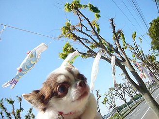 2013042801.jpg