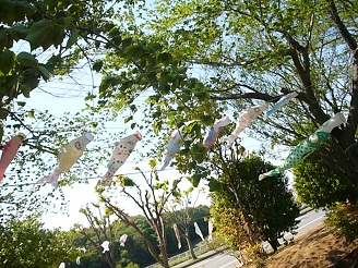 2013042802.jpg