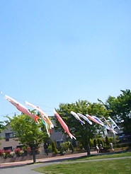 2013042803.jpg