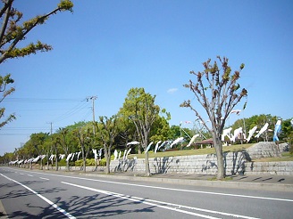 2013042804.jpg