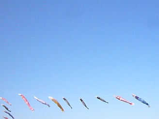 2013042805.jpg