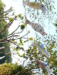 2013042806.jpg