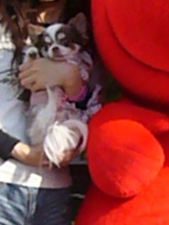 2013043007.jpg