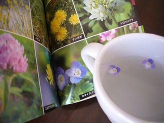 2013050201.jpg
