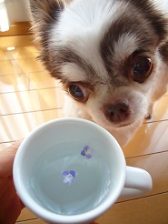 2013050202.jpg