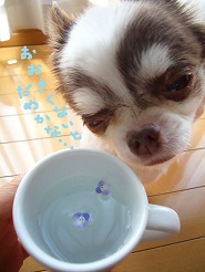 2013050203.jpg