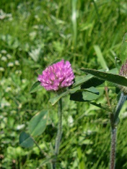 2013050205.jpg