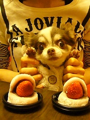 2013050402.jpg