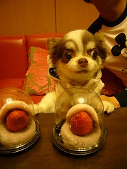 2013050404.jpg