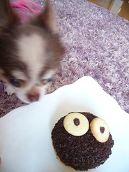 2013050517.jpg