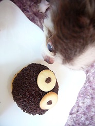 2013050518.jpg