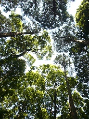 2013050603.jpg