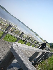 2013050605.jpg