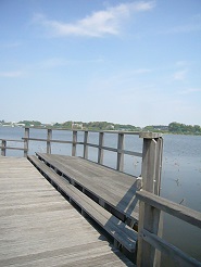 2013050606.jpg
