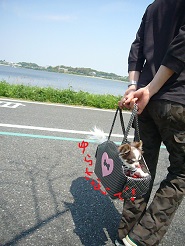 2013050609.jpg