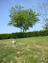2013050611.jpg