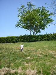 2013050612.jpg