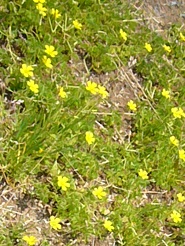 2013050616.jpg