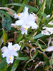 2013050617.jpg
