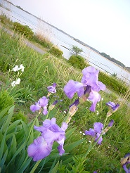 2013050619.jpg
