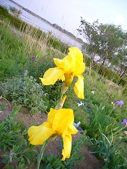 2013050620.jpg