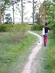 2013050622.jpg