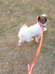 2013050623.jpg