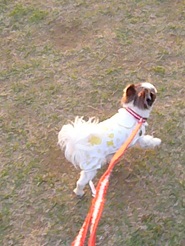 2013050624.jpg