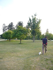 2013050626.jpg