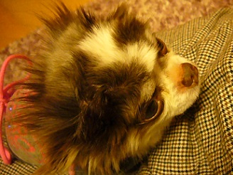 2013051401.jpg