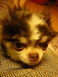 2013051402.jpg