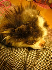 2013051403.jpg