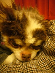 2013051404.jpg