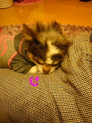 2013051405.jpg