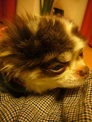 2013051406.jpg