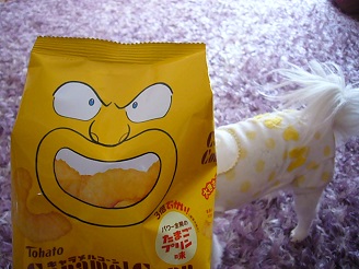2013052201.jpg