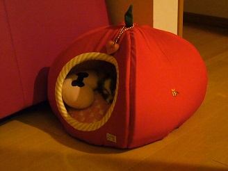 2013052301.jpg