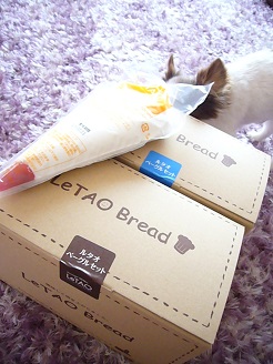 2013060101.jpg