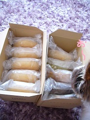 2013060102.jpg