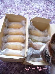 2013060103.jpg