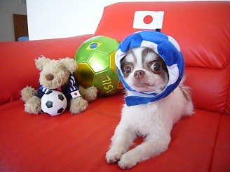 2013060401.jpg