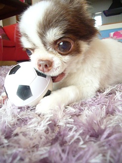 2013060402.jpg