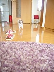 2013060403.jpg